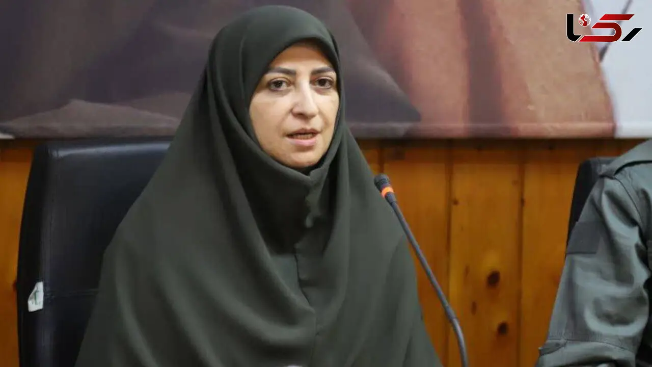  شینا انصاری:پیگیر استانداردسازی گوگرد نفت کوره نیروگاه‌ها هستیم
