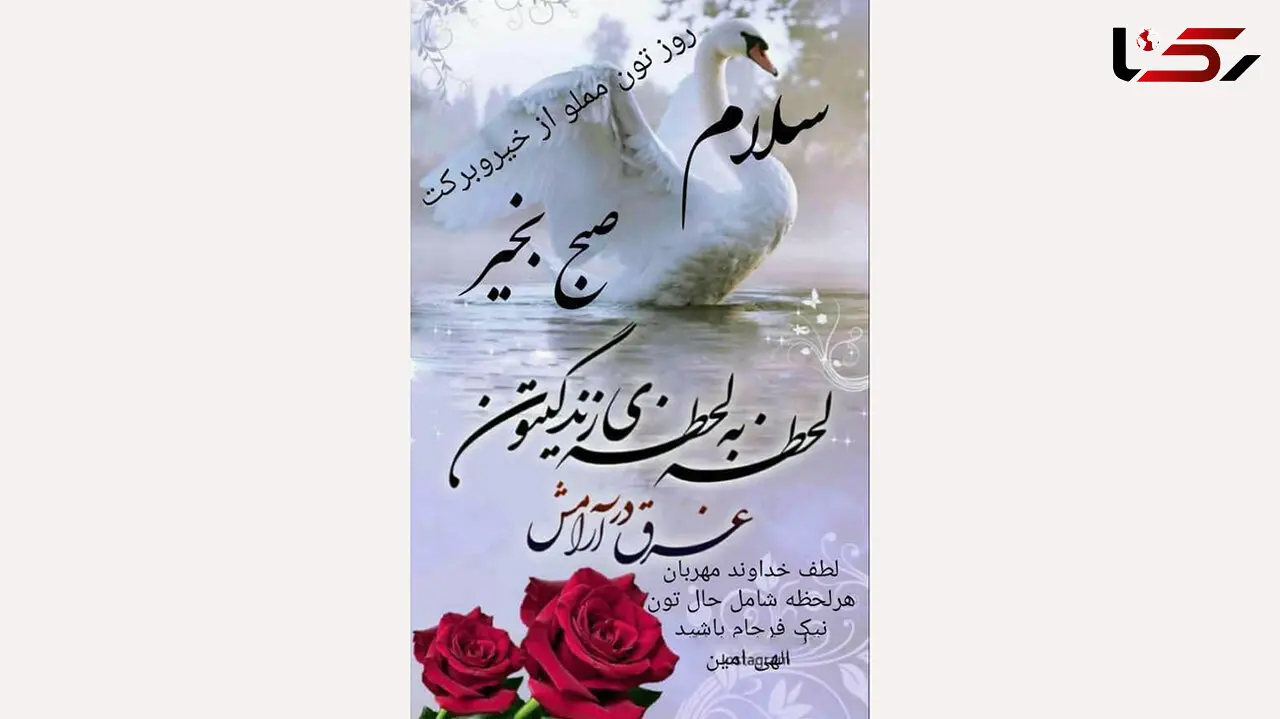 فال ابجد امروز / 8 مرداد ماه + فیلم 