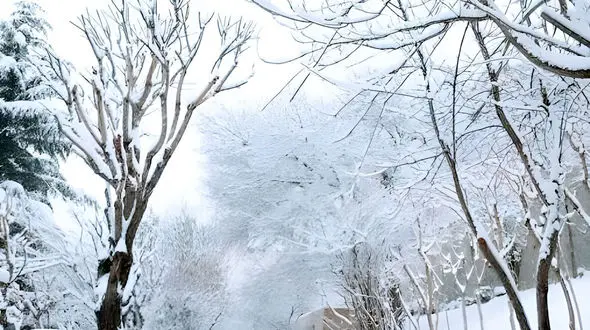 زمستان خوانسار؛ روایت سپیدی در دل کوهستان + فیلم