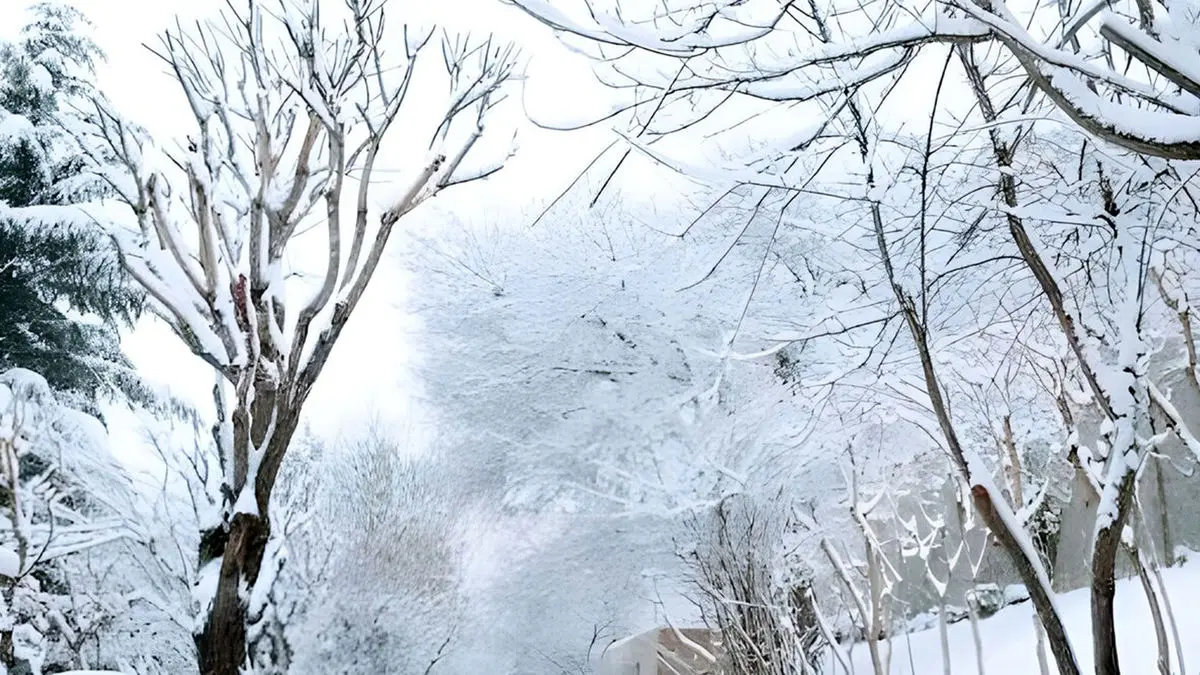 زمستان خوانسار؛ روایت سپیدی در دل کوهستان