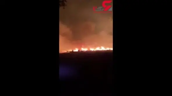 آتش سوزی گسترده در جنگل‌های آفریقای جنوبی + فیلم