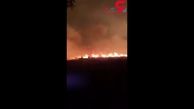 آتش سوزی گسترده در جنگل‌های آفریقای جنوبی + فیلم