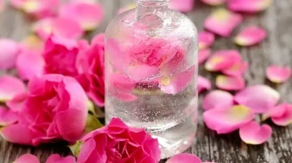 درمان قطعی افسردگی با بوییدن یک گل