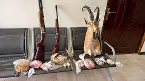 عکسی که دلتان را می لرزاند ! / این مرد مسلح رحم نداشت !