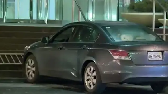 رفتار عجیب مخالف ترامپ + فیلم