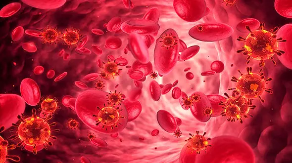 افزایش لخته‌ خون در شریان‌های پای بیماران مبتلا به کووید ۱۹