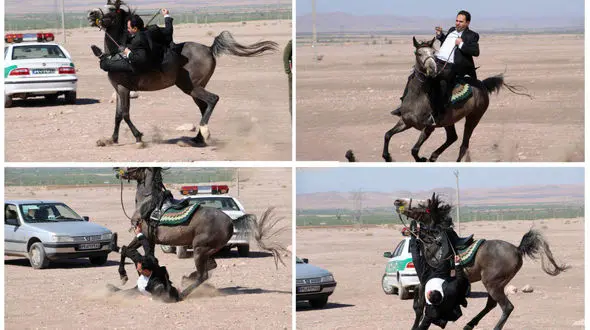 اسب به نماینده مجلس شورای اسلامی سواری نداد و او را زمین کوبید! + عکس