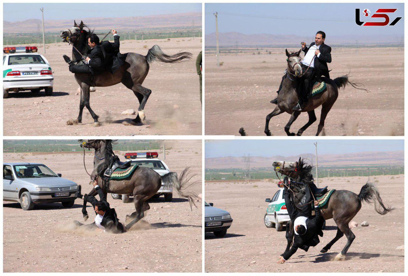 اسب به نماینده مجلس شورای اسلامی سواری نداد و او را زمین کوبید! + عکس