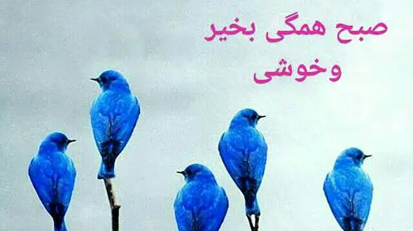 فال روزانه شخصی / 15 آذر ماه + فیلم