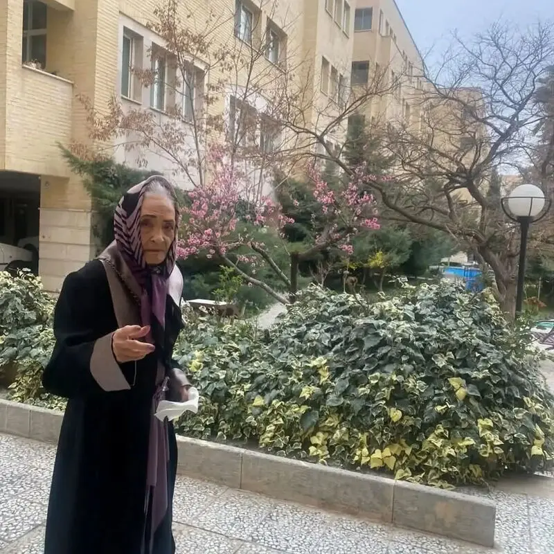 درگذشت آذر عظیما