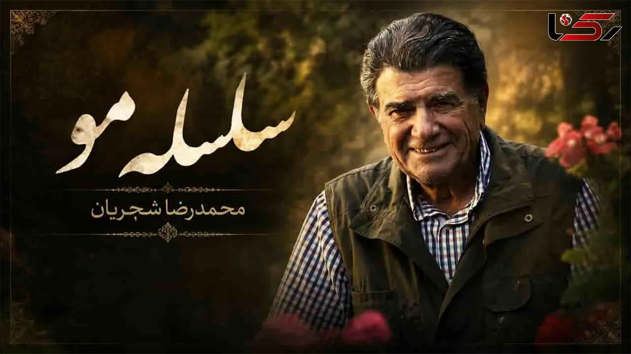 دانلود آهنگ سلسله موی دوست حلقه دام بلاست محمدرضا شجریان