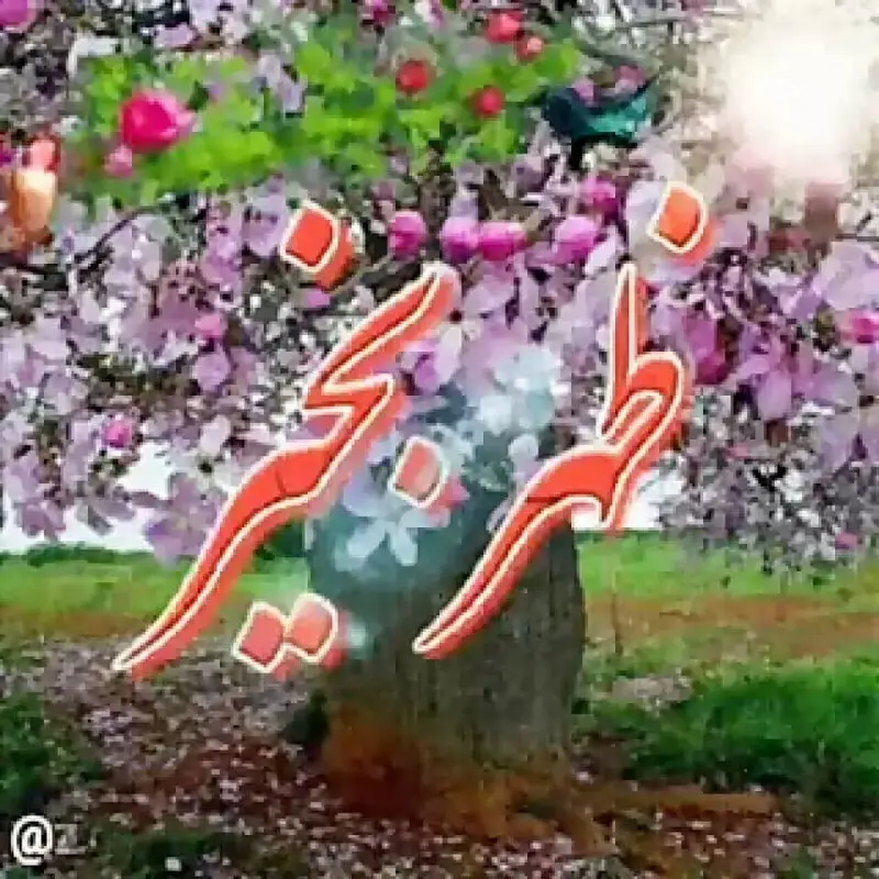 ظهر بخیر