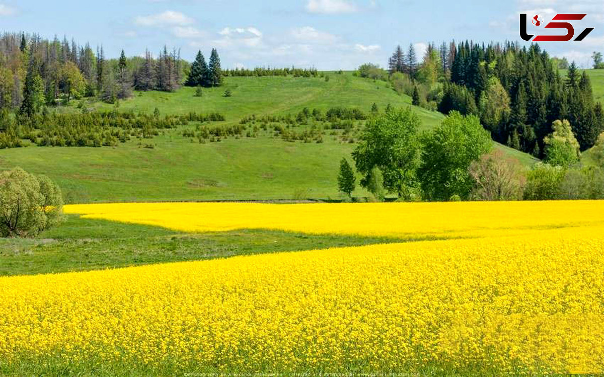 در سفر به رودبار سری به این مکان های جذاب بزنید