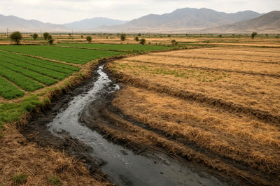 ماجرای دردناک صادرات آب ایران به سرزمین اعراب / وزارت جهاد کشاورزی کجاست؟