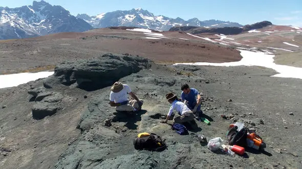 جد تمساح های امروزی کشف شد + عکس