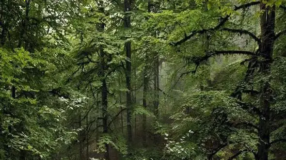 بهترین مناطق شمال برای سرمایه گذاری ملک ؟