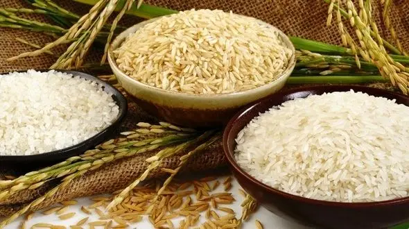 تاثیر مصرف برنج در بزرگ شدن شکم