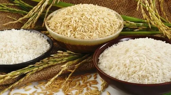 تاثیر مصرف برنج در بزرگ شدن شکم