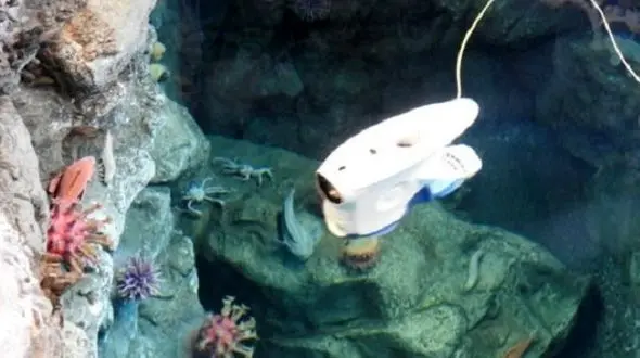 عجیب ترین ویروس های جهان با پهپاد اقیانوس نما کشف می شود