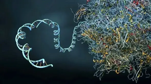 شکست هوش مصنوعی: کامپیوتر کوانتومی قدرت واقعی را نشان داد!