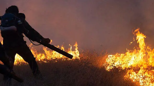 آتش سوزی دوباره در جنگل های خائیز کهگیلویه شروع شد