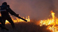 آتش سوزی دوباره در جنگل های خائیز کهگیلویه شروع شد