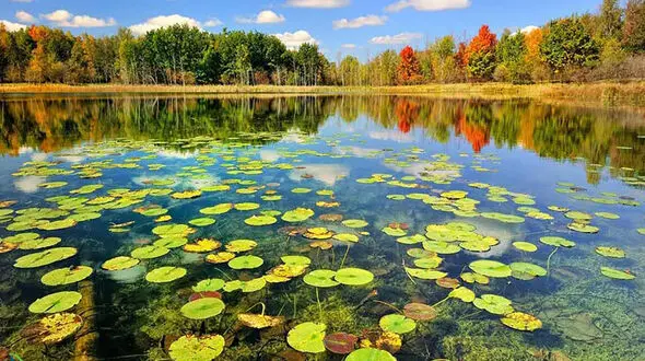 تالاب سیاه درویشان و زیبایی های آن 
