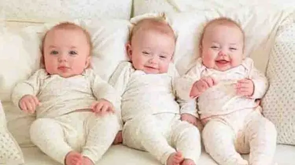 پرداخت کمک هزینه معیشتی به خانواده چند قلوها