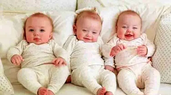 پرداخت کمک هزینه معیشتی به خانواده چند قلوها