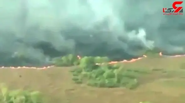 آتش دیوانه در جنگل‌های آمازون + فیلم 