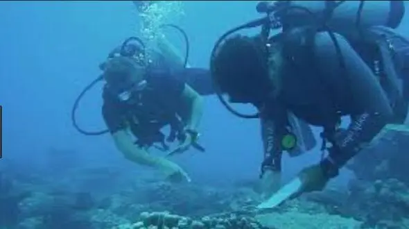 ربات انسان نما ساخت ارتش آمریکا