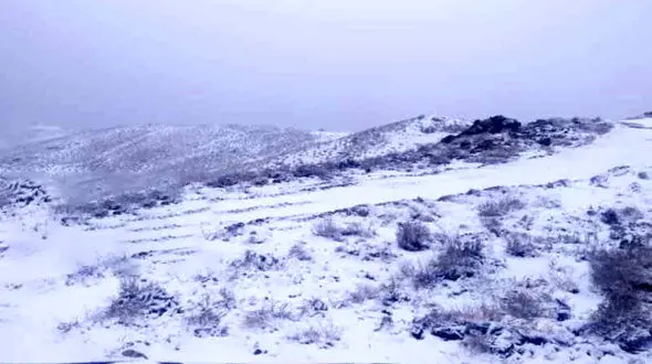 کوهنورد کرمانشاهی در تفتان گم شد / جست و جوها ادامه دارد 