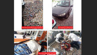 قتل فجیع زن دوم در منطقه الهیه مشهد / مرد همسرکش با انسولین در خانه خودکشی کرد + عکس صحنه جرم