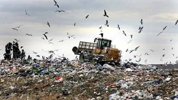 دلیل بوی نامطبوع در بازارچه جم چیست ؟+ عکس و فیلم