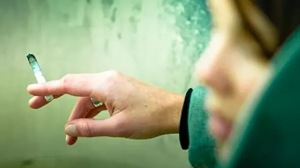 پرستوی 15 ساله با یک چمدان به خانه ام آمد / او آبرویم را برد