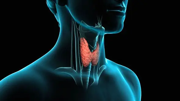 4 روش کاهش علائم تیروئید کم‌ کار