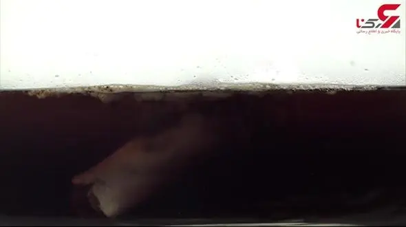 اسید چه بلایی سر جسد خاشقجی آورده است+فیلم 