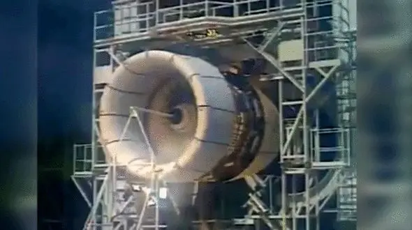  یک پرنده موتور هواپیما را نابود کرد + فیلم