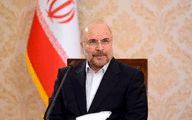 Iran to halt implementing AP as of Feb. 23