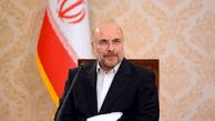 Iran to halt implementing AP as of Feb. 23