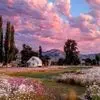 شکست پایان راه نیست