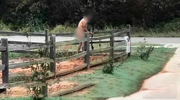 تعرض دو برادر به یک مرد در پارک + عکس