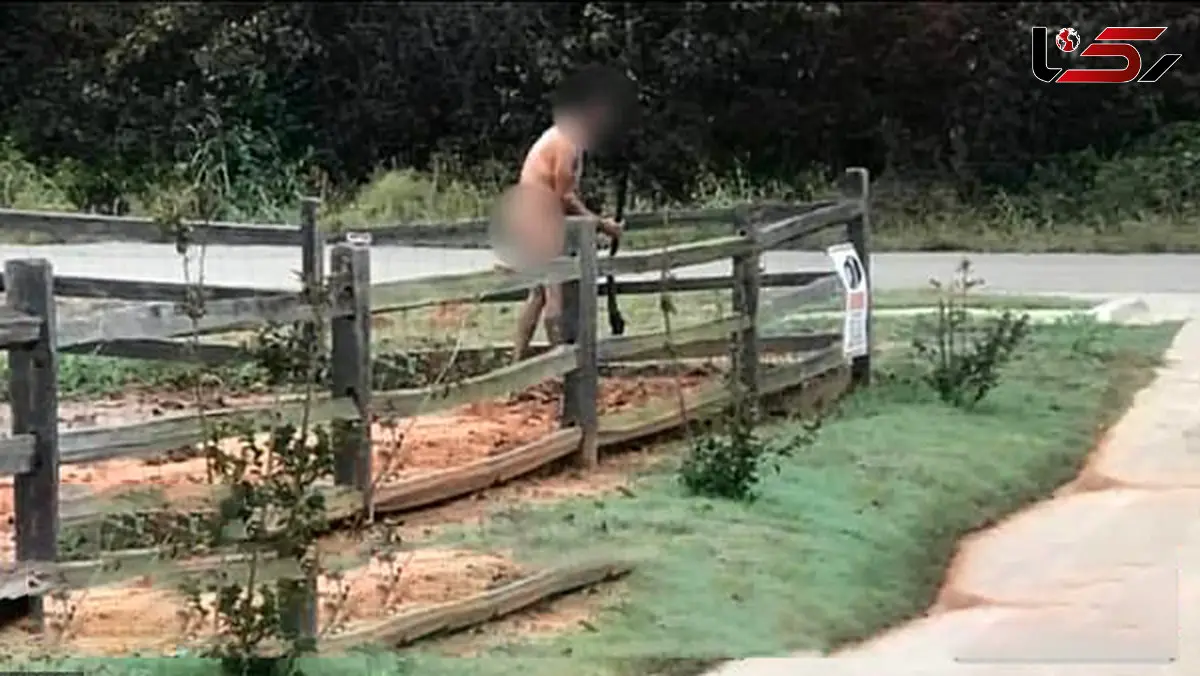 تعرض دو برادر به یک مرد در پارک + عکس