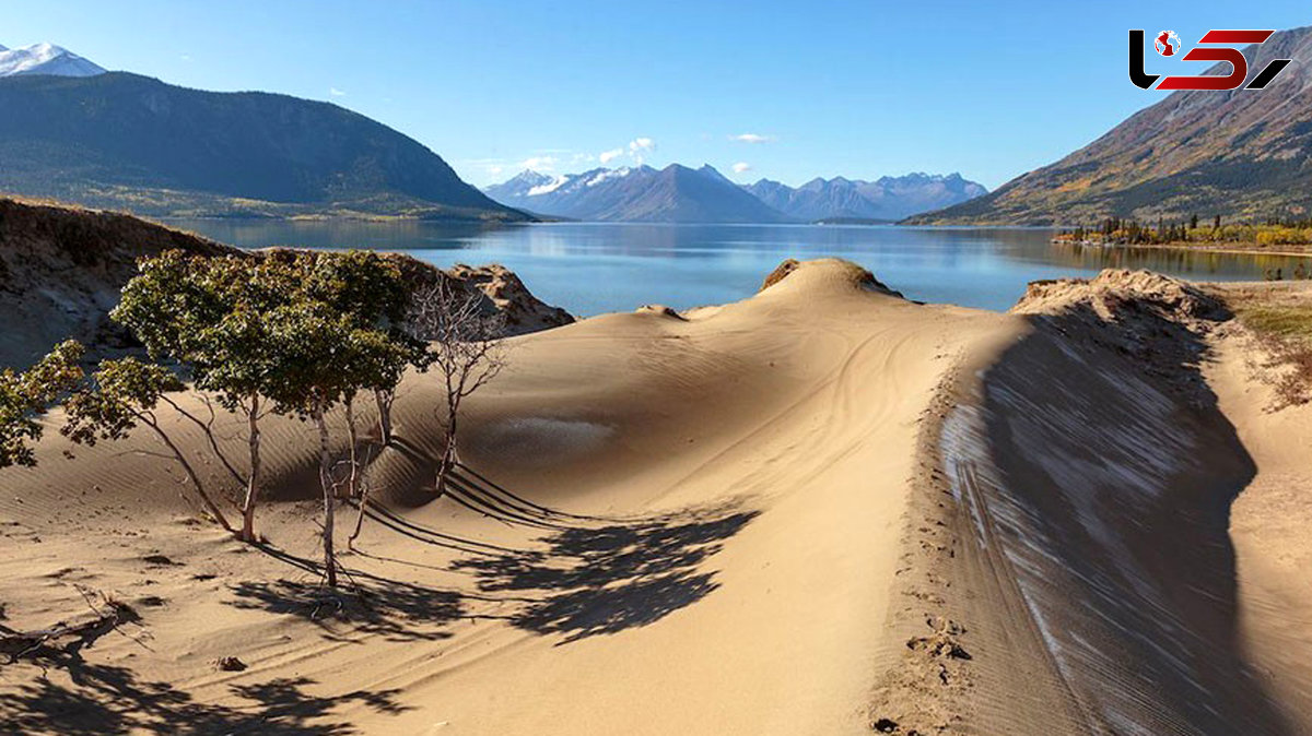 زیباترین صحراهای شنی دنیا/ایران در صدر زیباترین ها