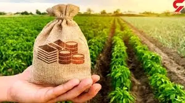 اجرای طرح تحول بنیادین در الگوی کشت لرستان/ بیش از 2.2 میلیارد دلار در کشور صرفه جویی می شود