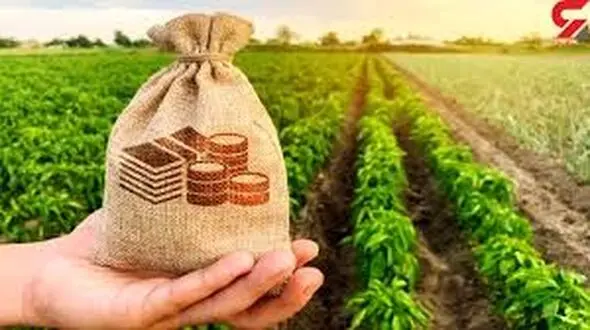 اجرای طرح تحول بنیادین در الگوی کشت لرستان/ بیش از 2.2 میلیارد دلار در کشور صرفه جویی می شود