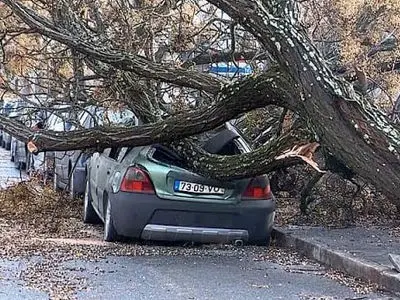 هشدار درباره وقوع گرد و خاک و تشدید آلودگی هوای تهران