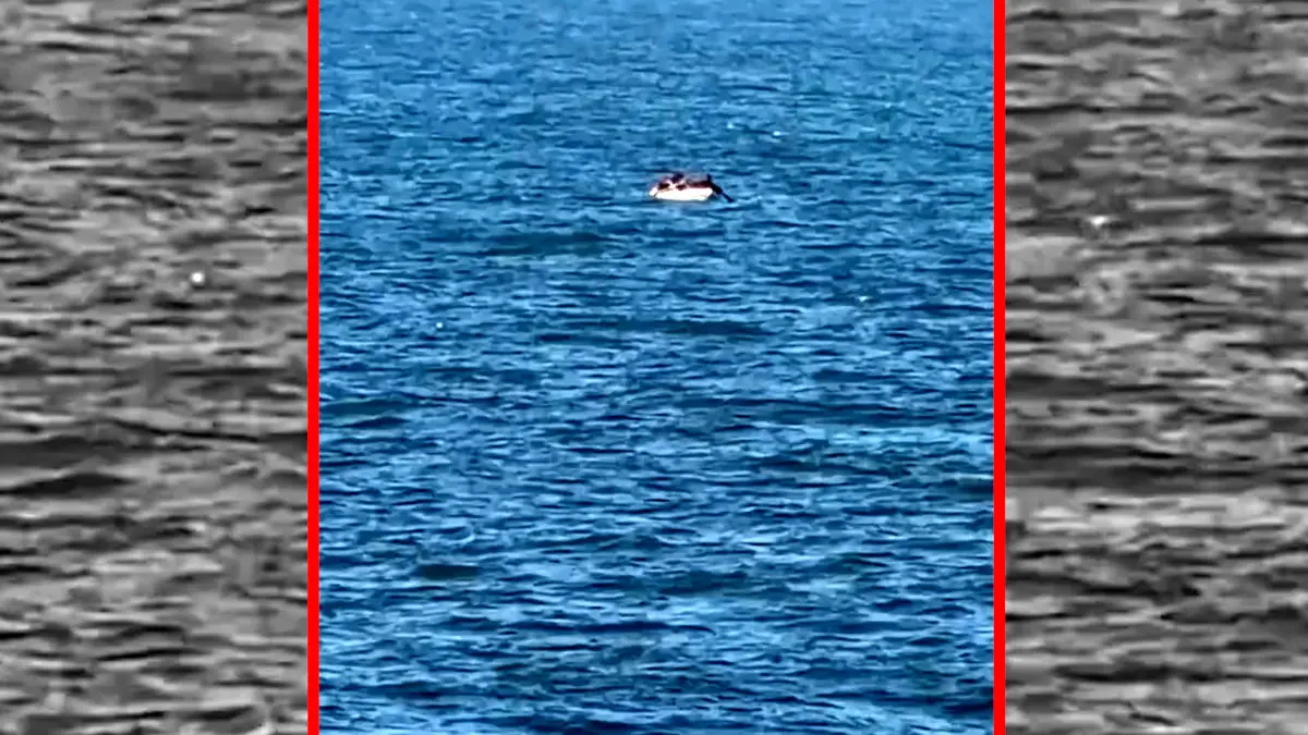 فیلم تیراندازی به قایق ماهیگیری در سواحل خان یونس