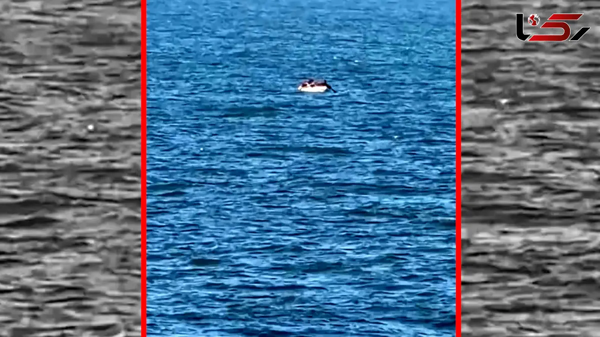 فیلم تیراندازی به قایق ماهیگیری در سواحل خان یونس