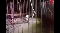 علی دایی زلزله زده های کرمانشاه را فراموش نکرده است + فیلم